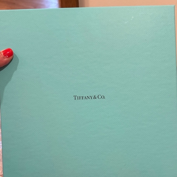 Tiffany & Co. Turquoise Kids Jewelry Box